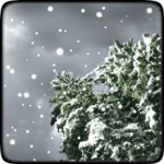 winter snowfall free android application logo